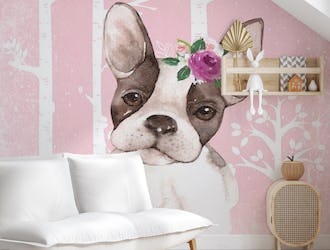French Flower Bulldog