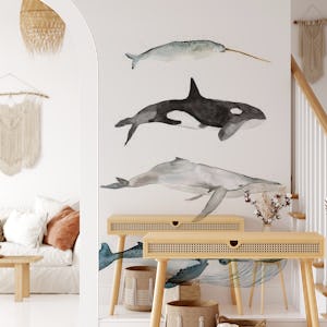 Sea Life Collection // Four Whales