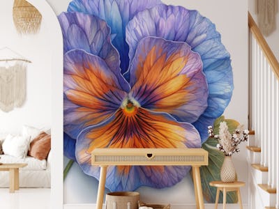 Pansy Bloom