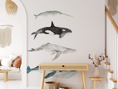 Sea Life Collection // Four Whales