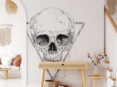 Skull in a triangle (bw)