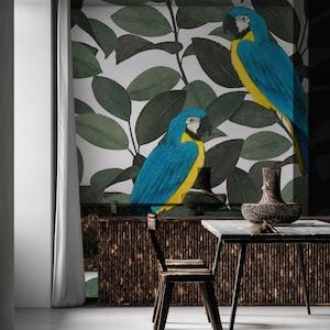 Parrots and ficus