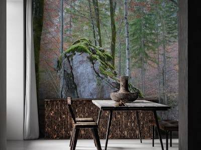Rock in the forest 1