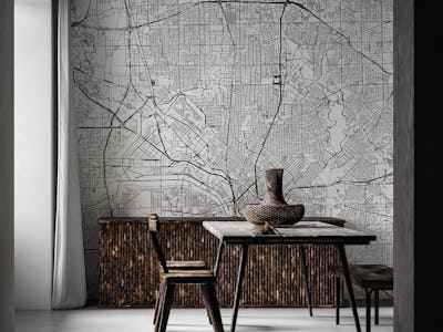 Dallas Map Portrait