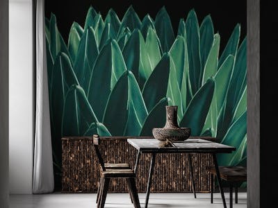 Agave Chic 11