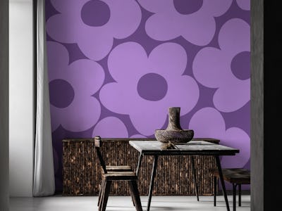 Purple Lavender Daisies 1
