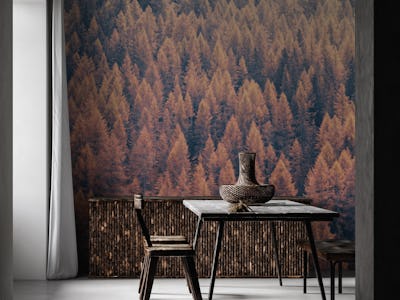 Autumnal Forest