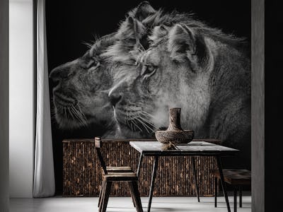 Lion and  lioness portrait
