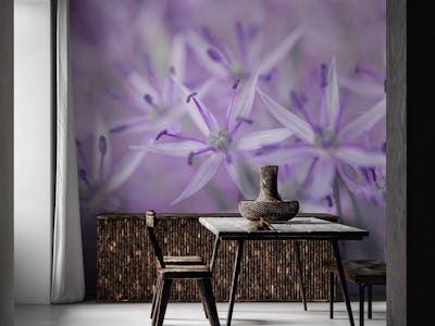 Intricate Allium
