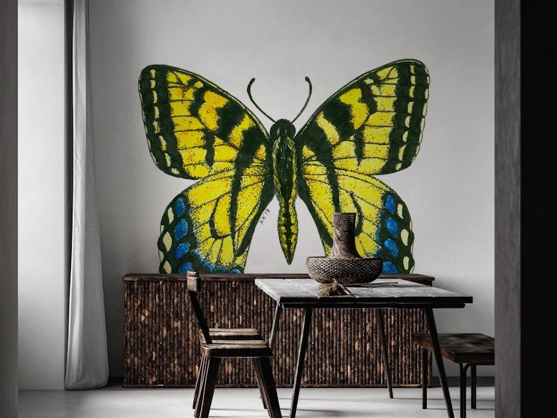 Tiger swallowtail butterfly