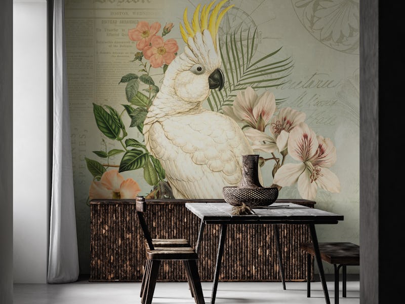 Cockatoo Vintage Nostalgia