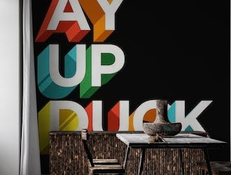 Ay Up Duck