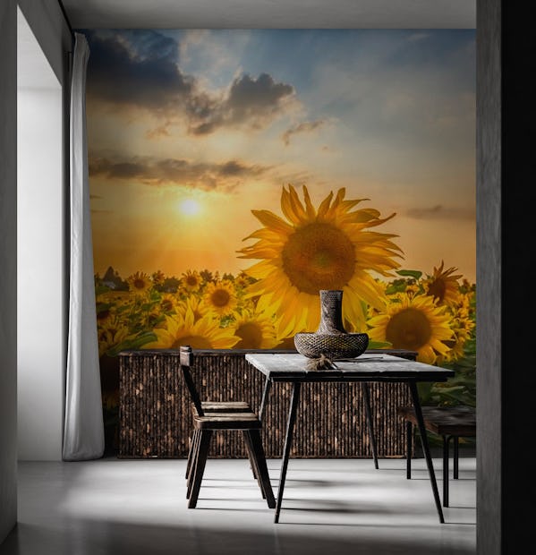 Sunflower field at sunset wallpaper - Happywall