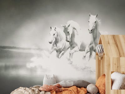 White horses running