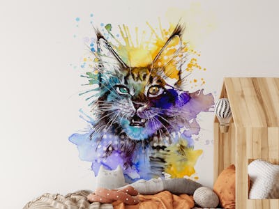 Creative Cat Colorful Art