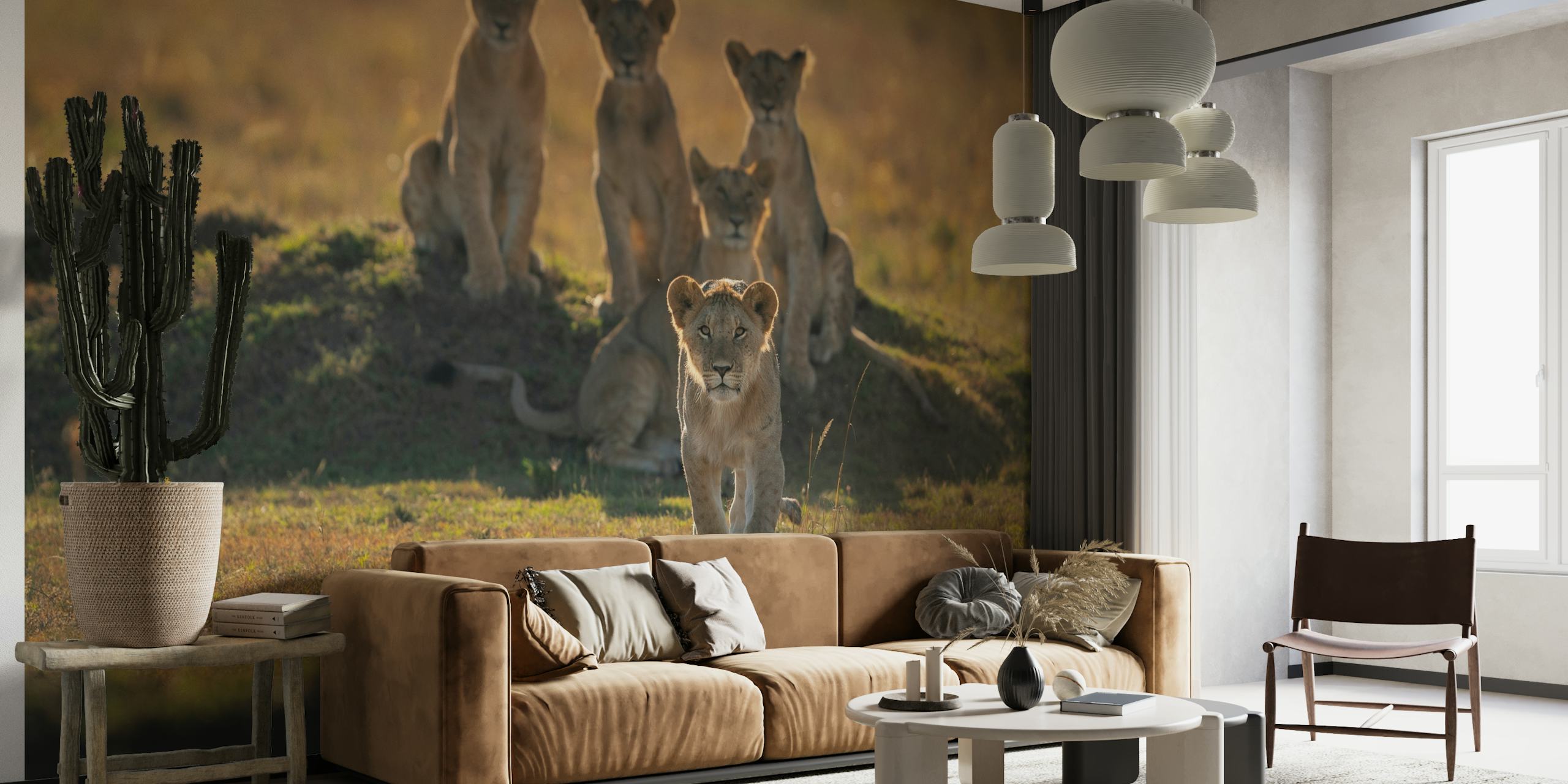 Fotobehang van leeuwenwelpen op een savanne bij zonsondergang
