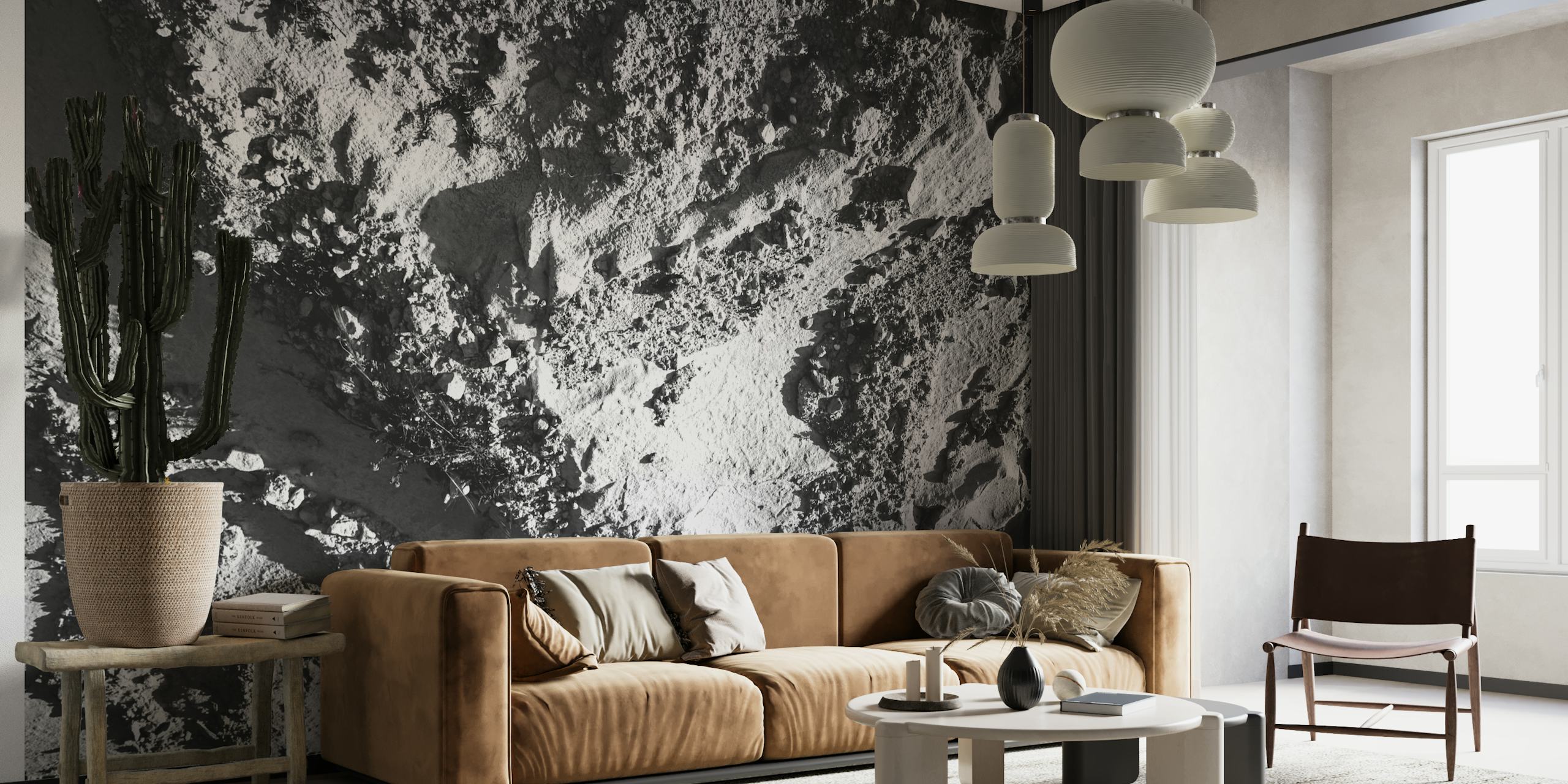 Monochrome abstract art wall mural depicting organic shapes and textures