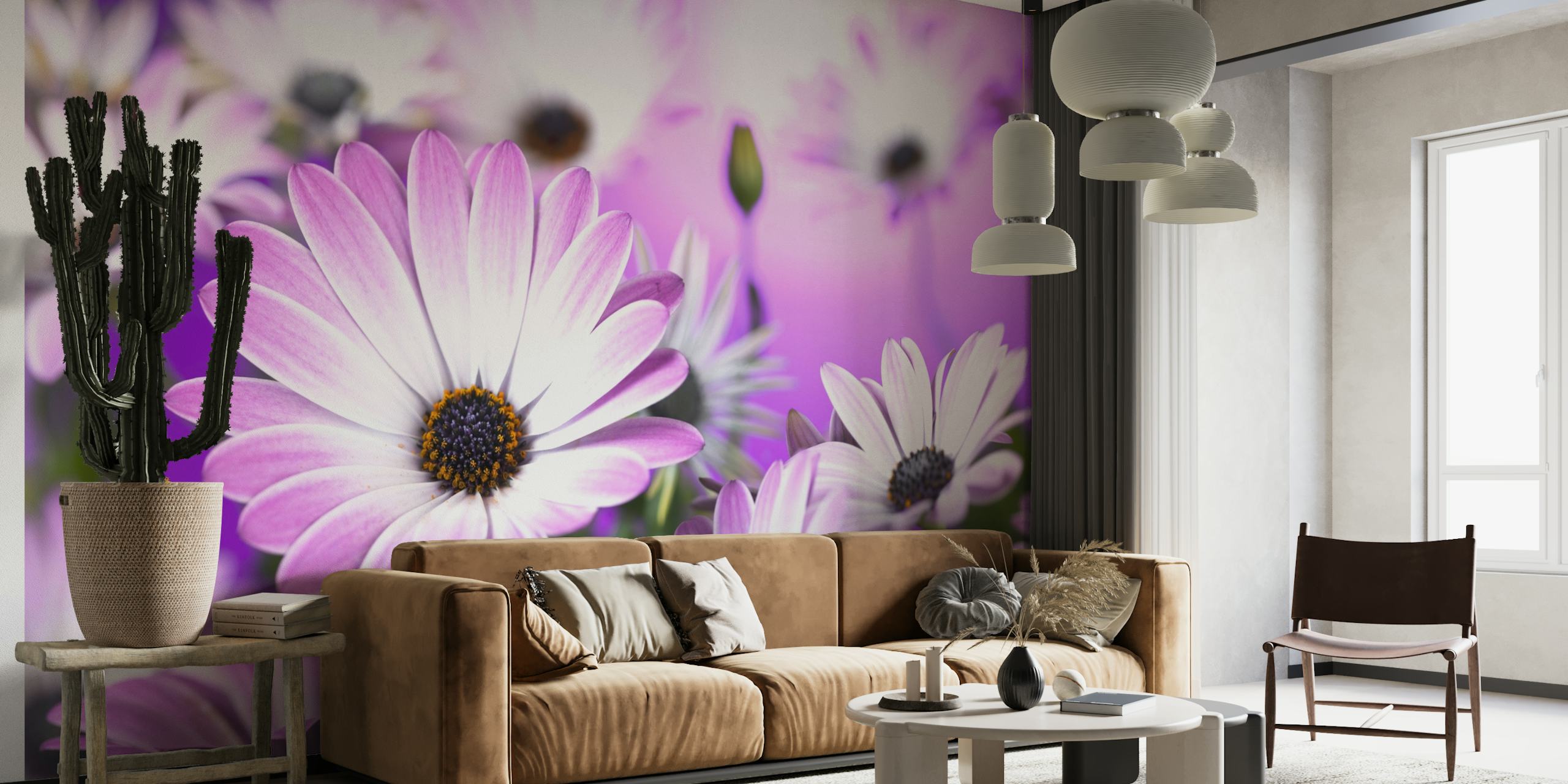 Osteospermum flowers papel de parede