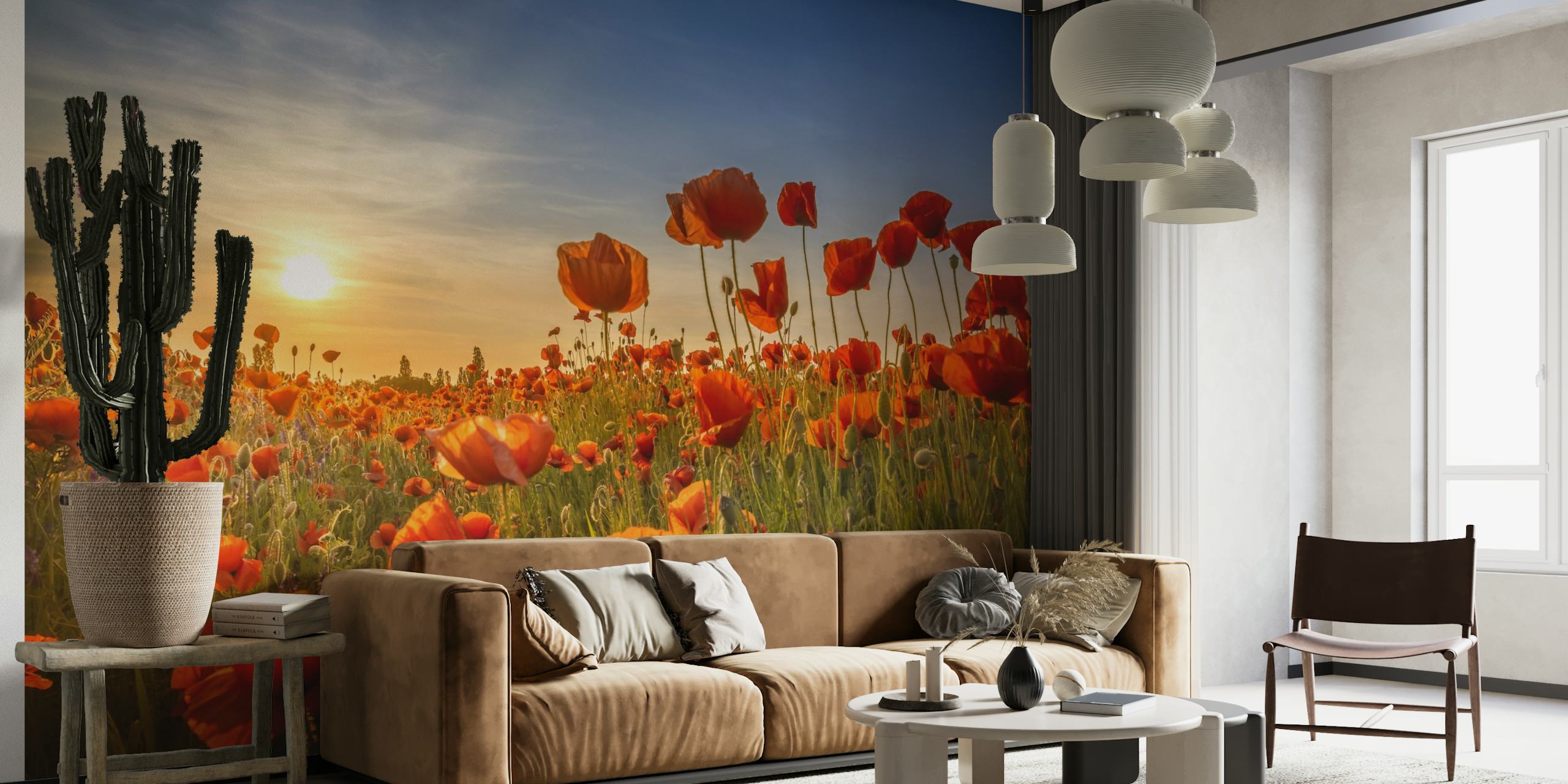 Poppies in the sunset behang