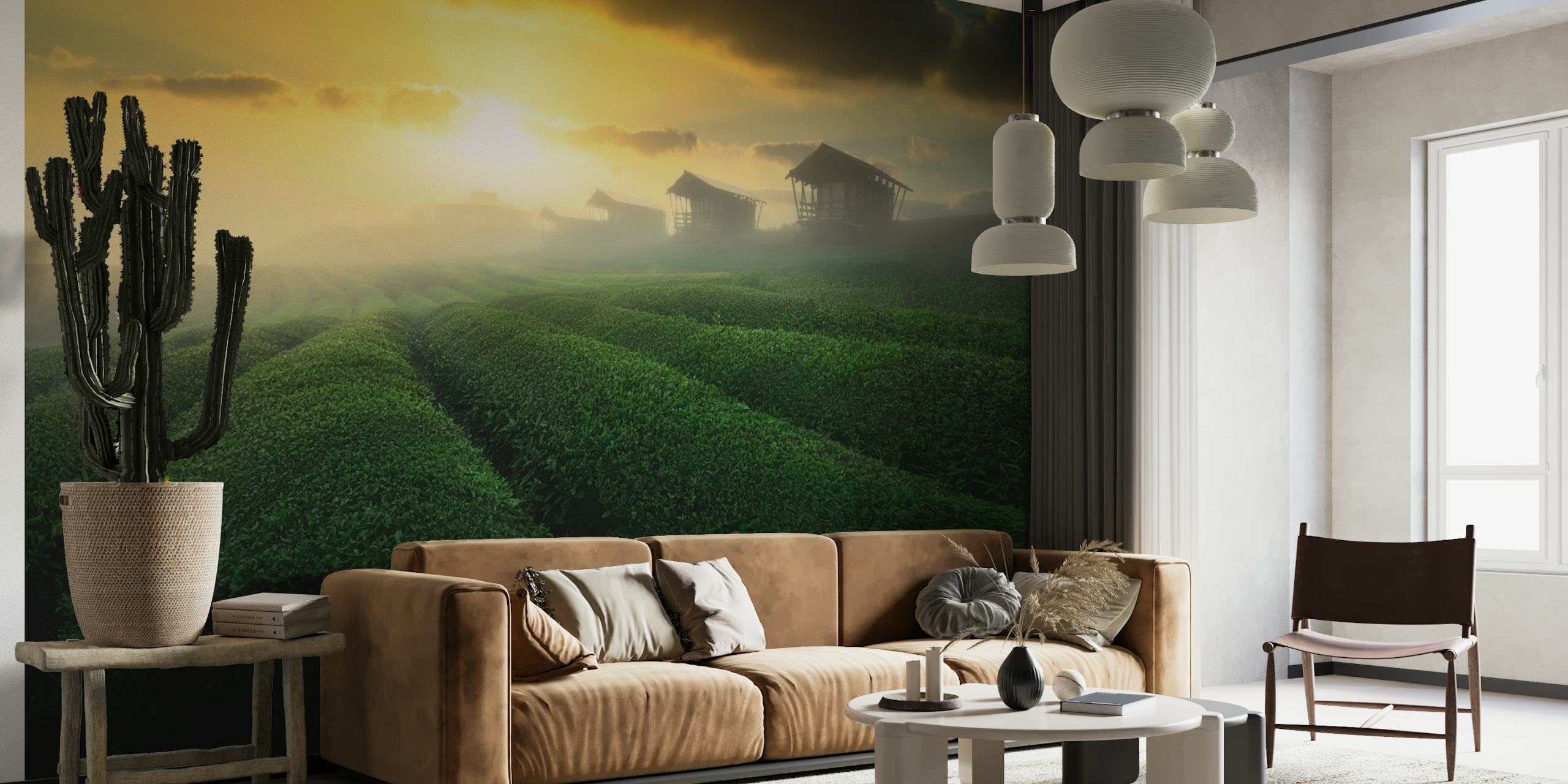 Misty sunrise in tea garden wallpaper
