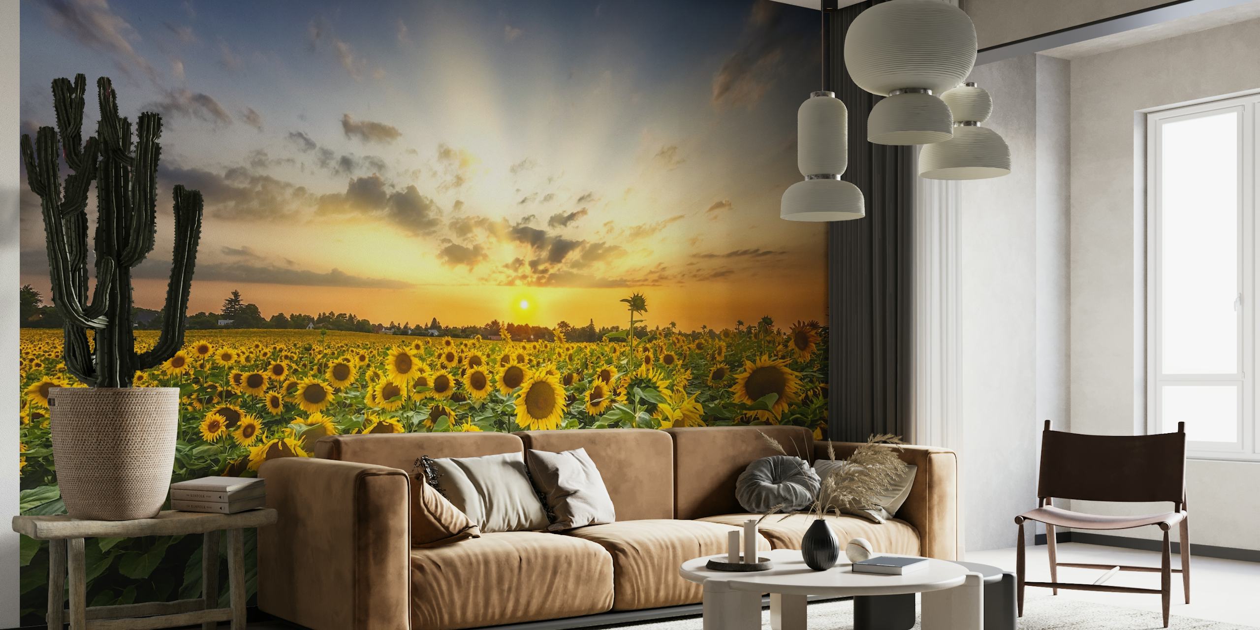 Gorgeous sunflower field at sunset behang