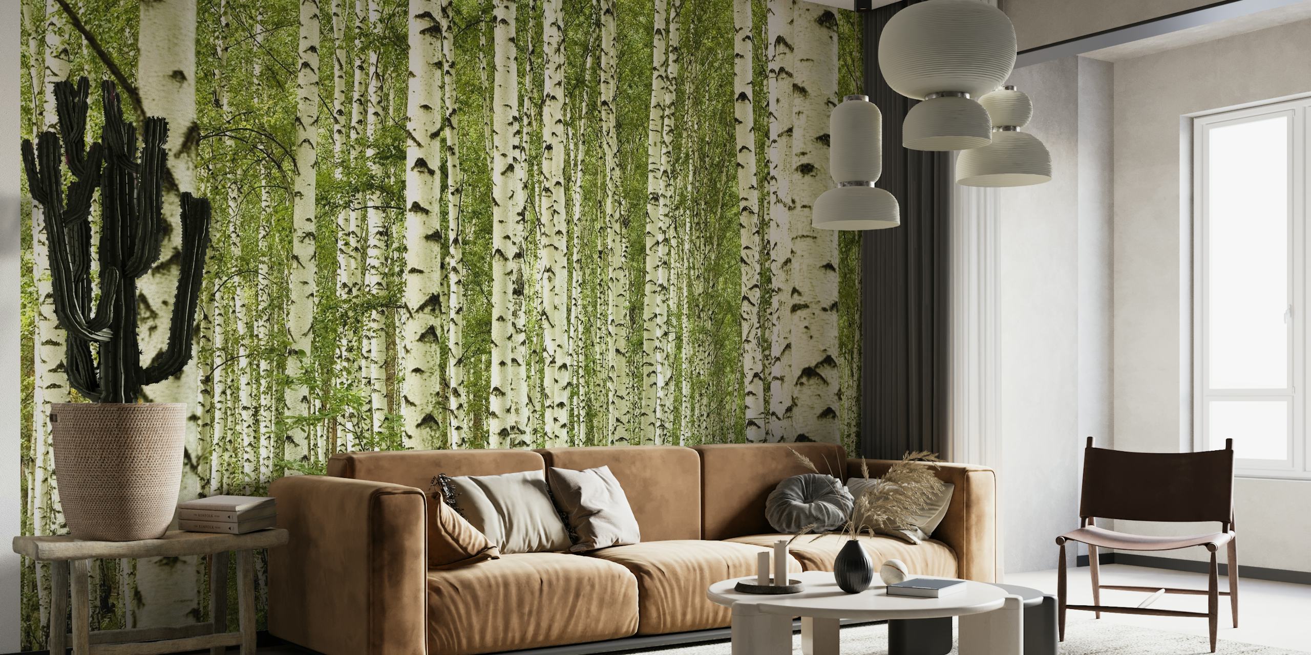 A wall mural of a dense birch forest with white and black patterned tree trunks in a lush green setting.
