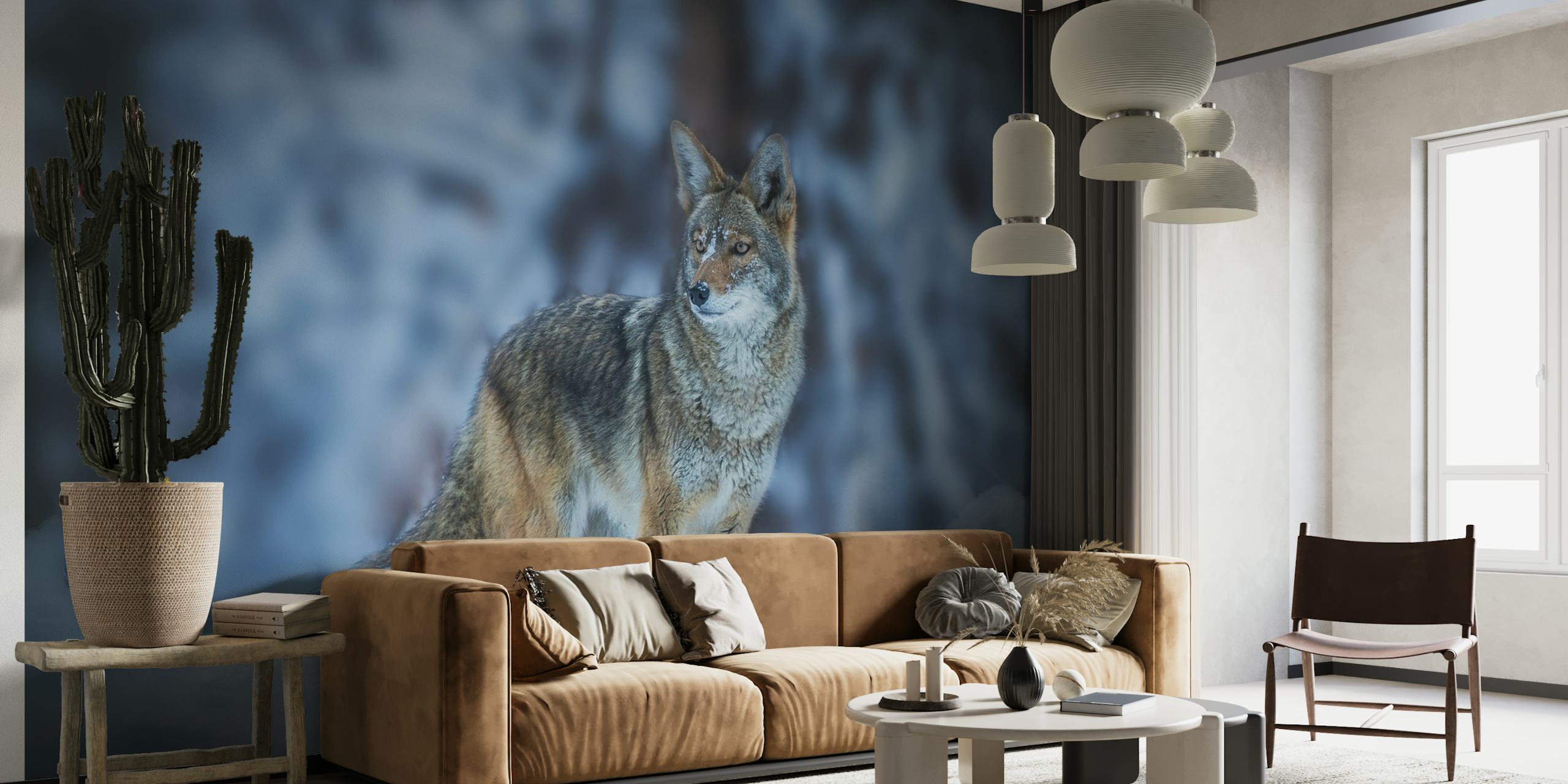 Coyote in Winter wallpaper