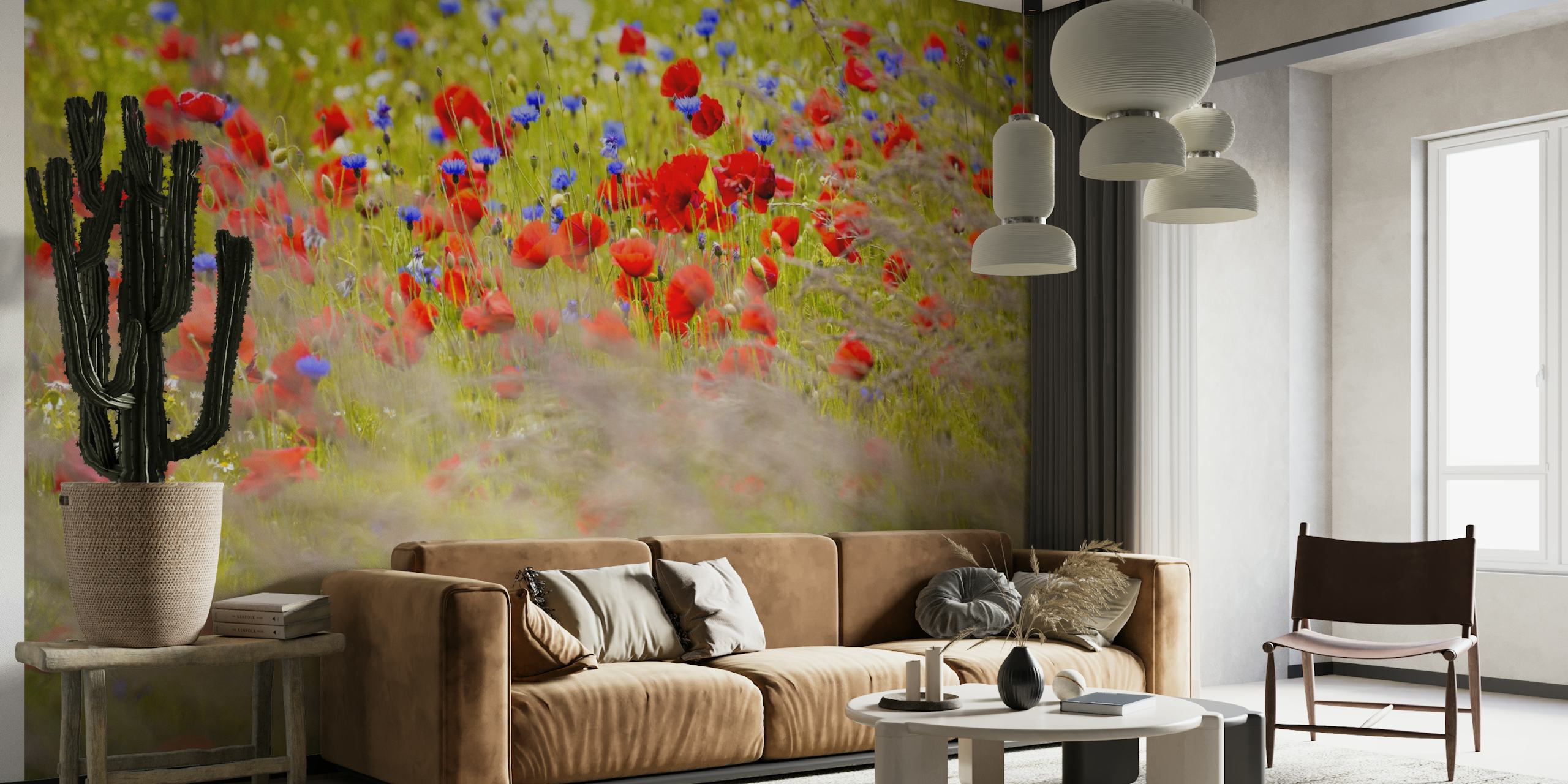 Poppy flower bloom field wallpaper