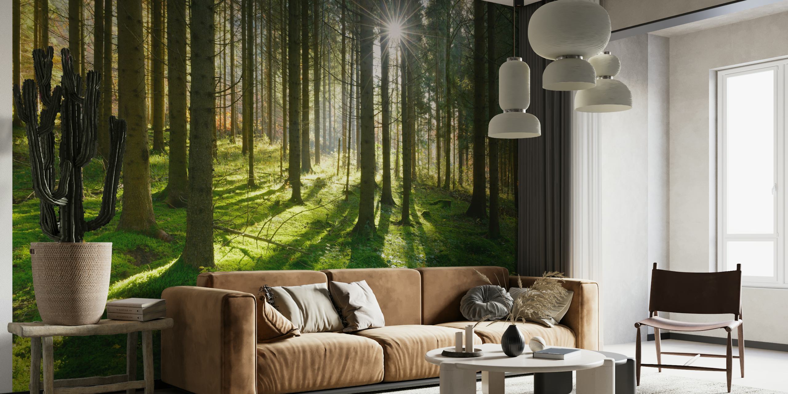 Sunbeams in the woods tapet i ett rum