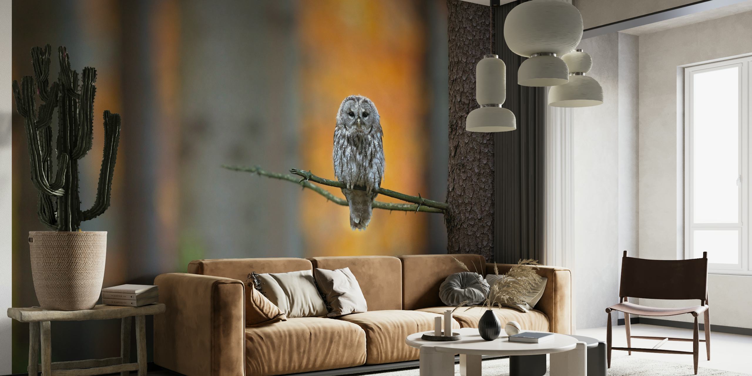 Tawny Owl perched on a branch wall mural with autumnal forest background