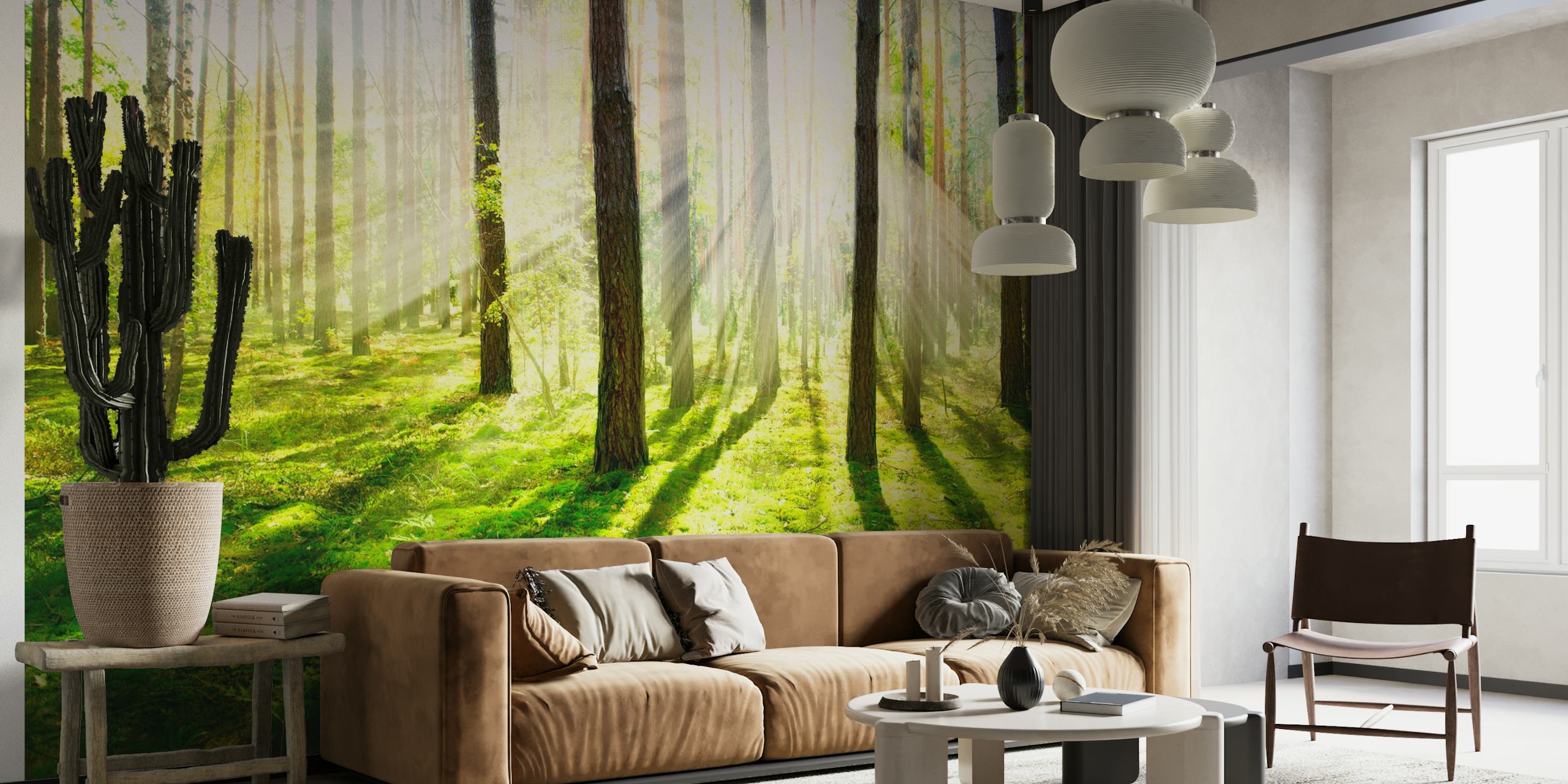 Forest light carta da parati in una stanza serena