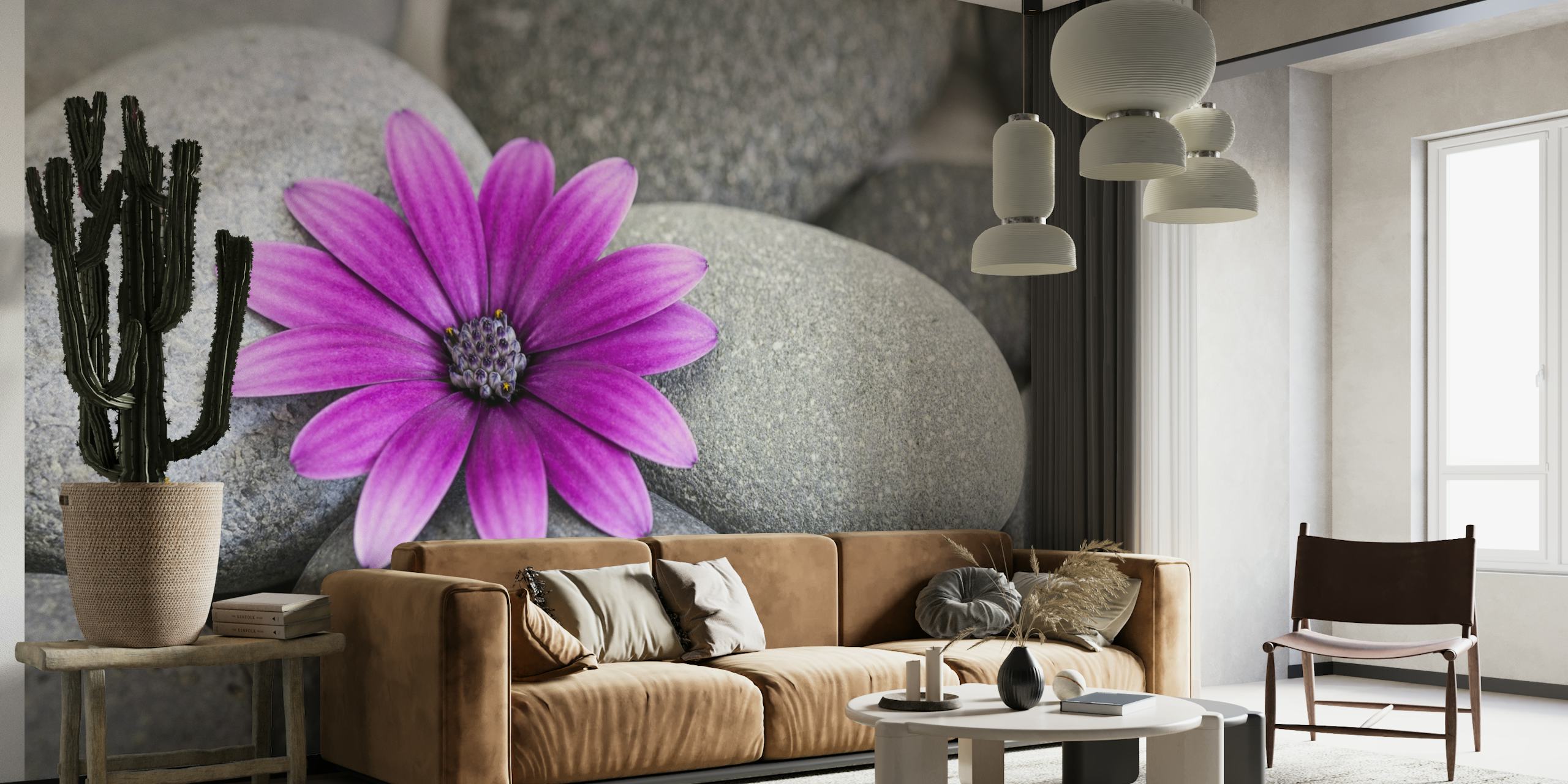 Pink daisy on grey pebbles wall mural