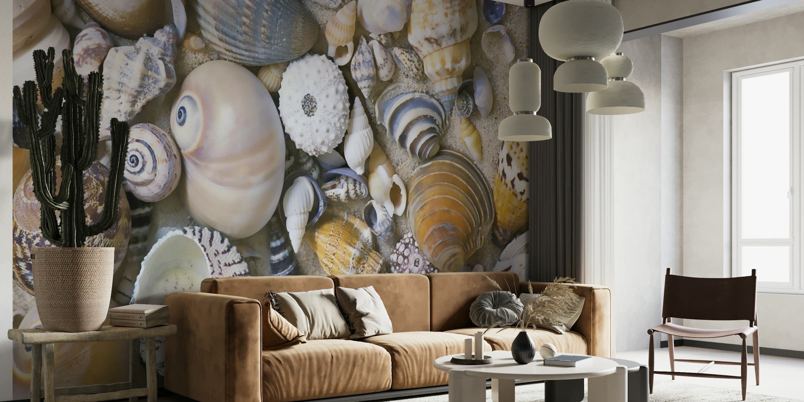 Sea Shell Collection wallpaper