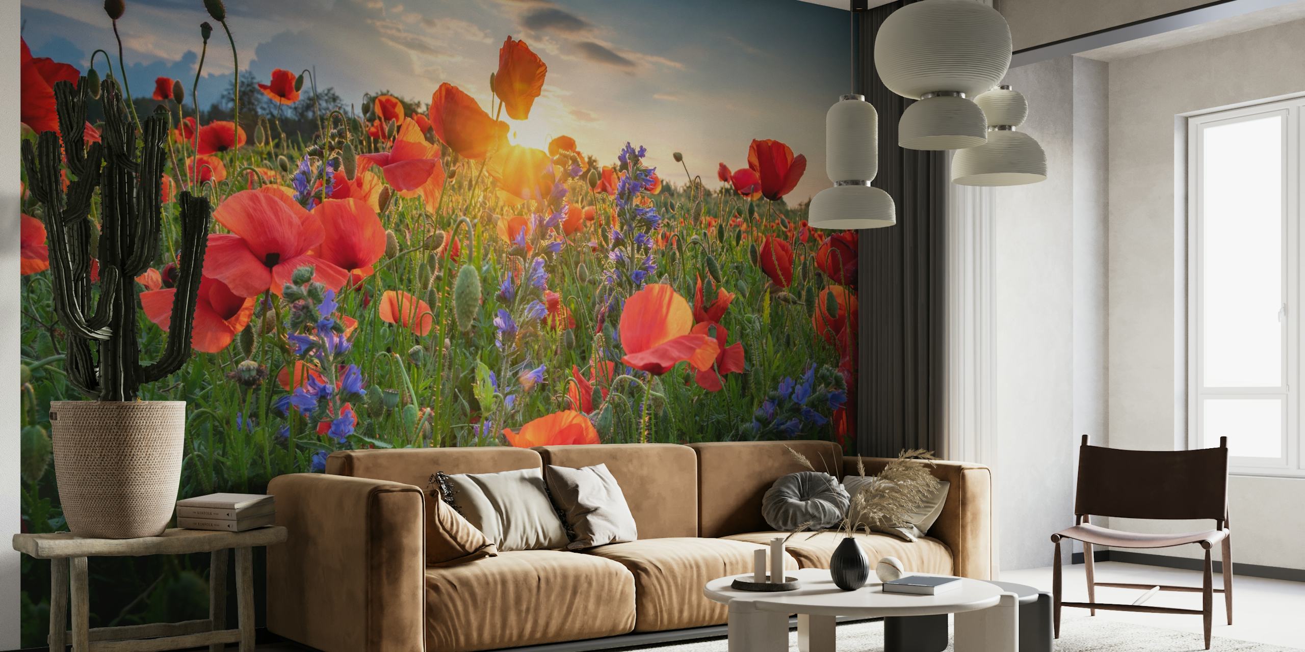 Poppies at Sunlight wallpaper