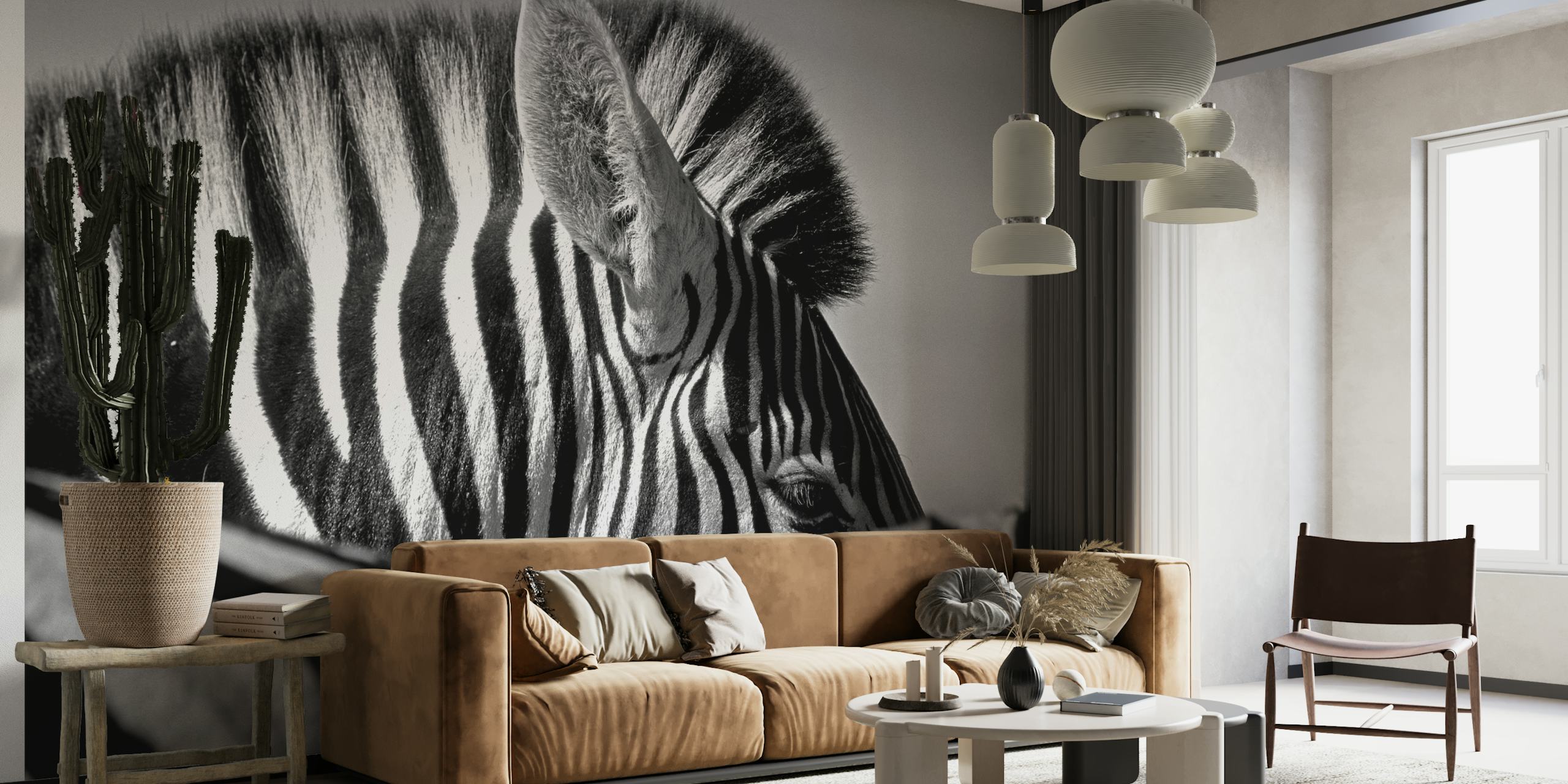 Curious Zebra behang