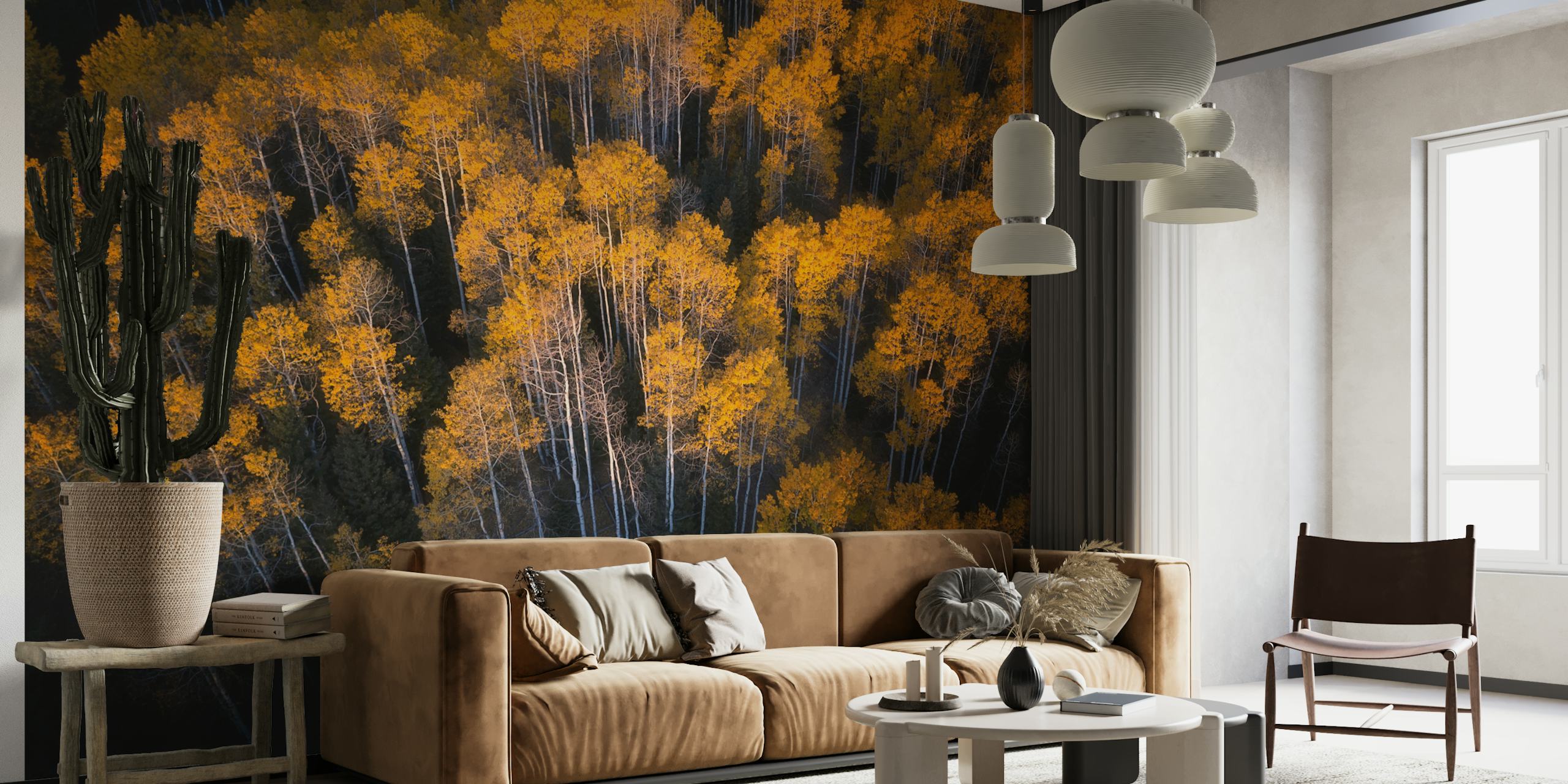 Golden aspen trees in autumn with dark trunks wallpaper