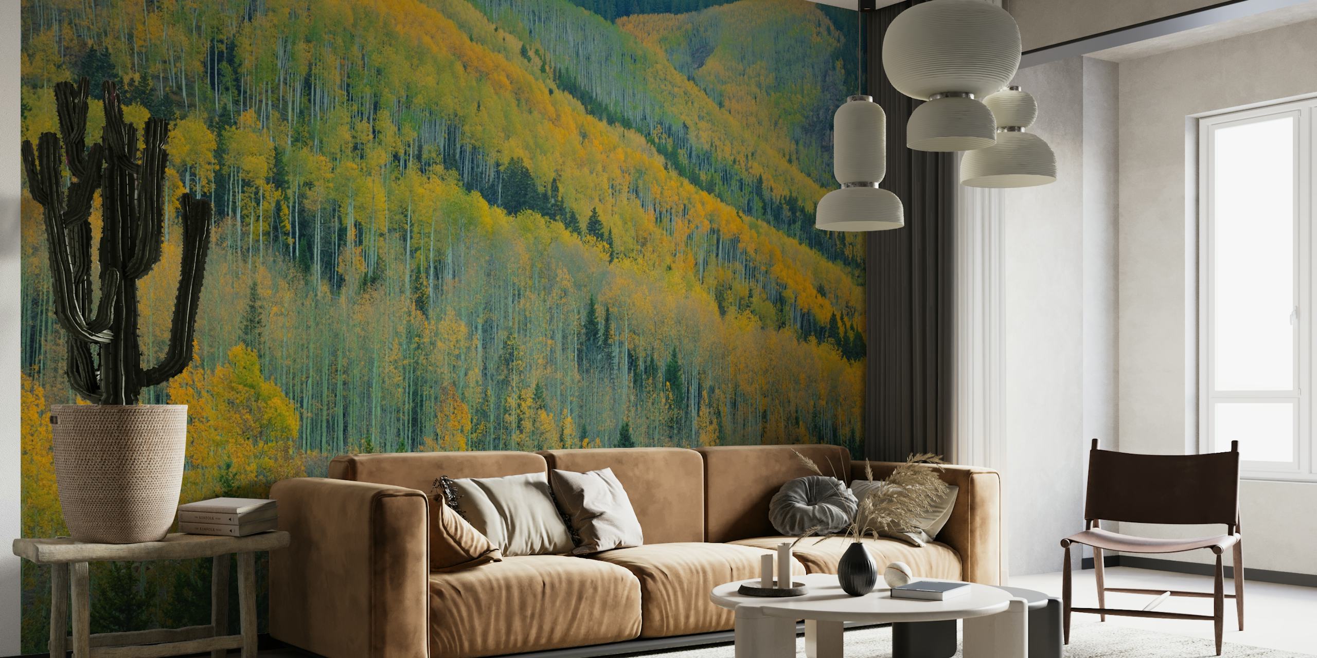 Aspen trees in autumn with yellow and orange leaves wall mural