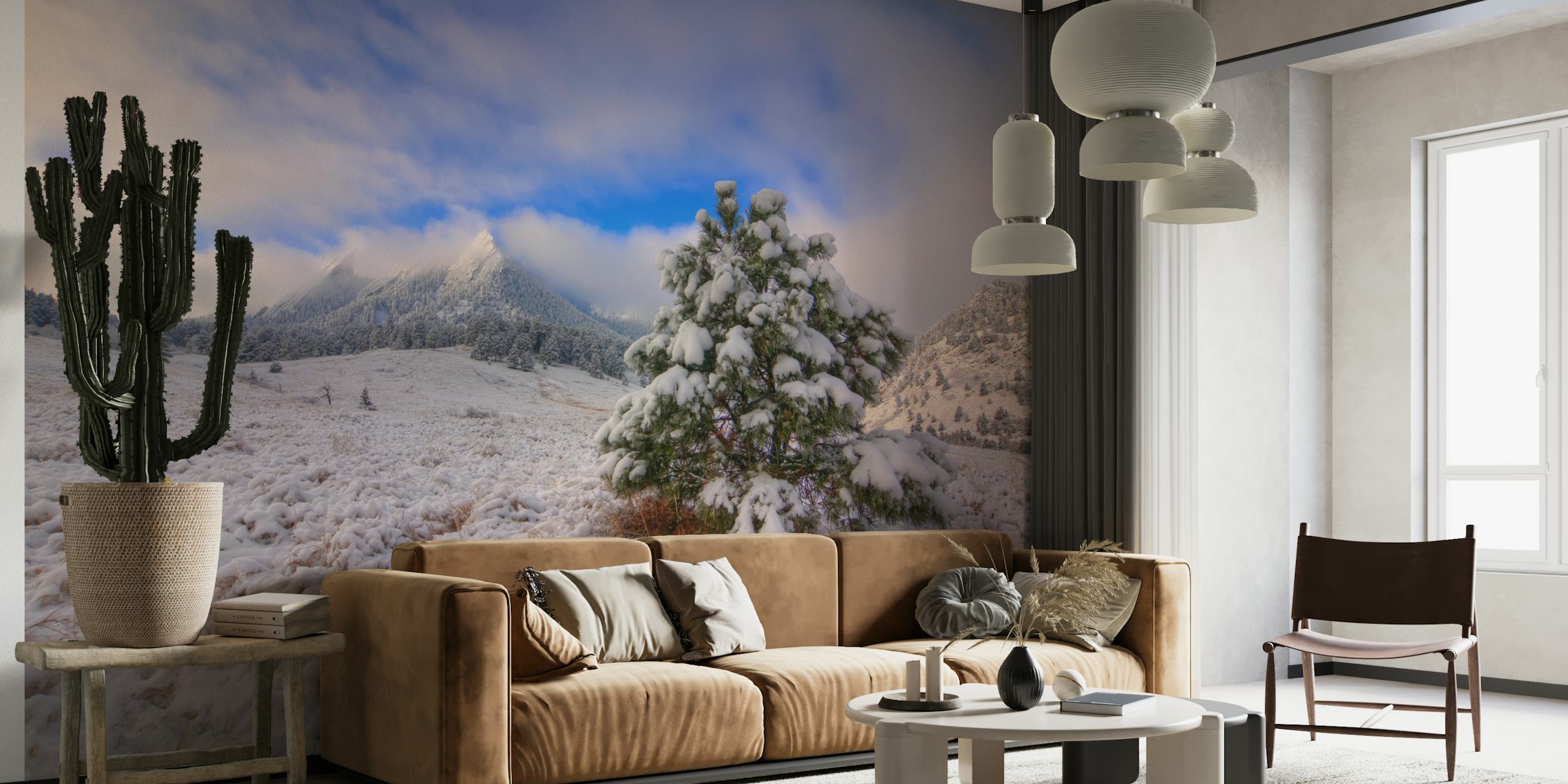 Snötäckt Flatirons-landskap med tapet av tall