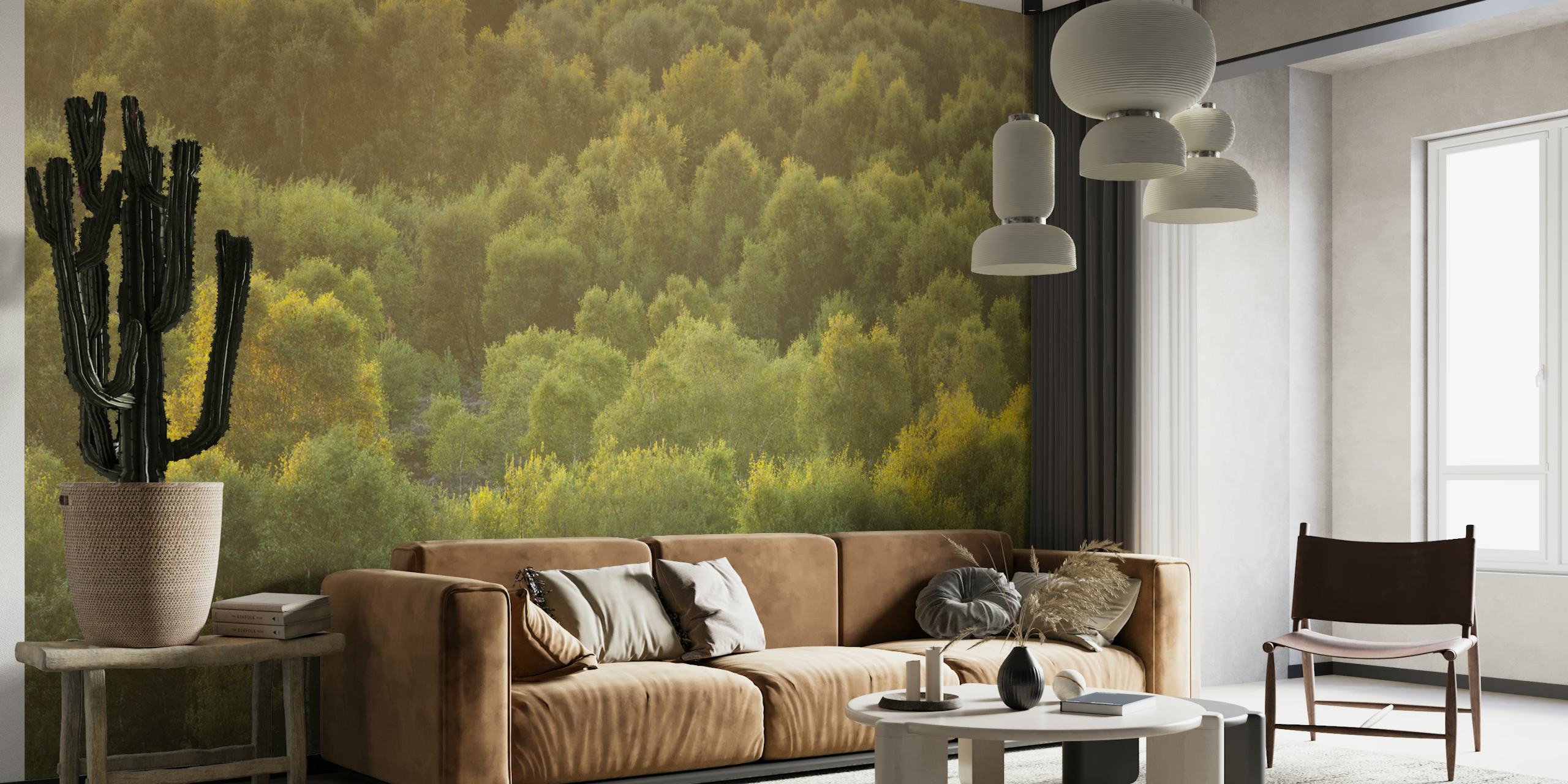 Lush green trees under soft sunlight wallpaper