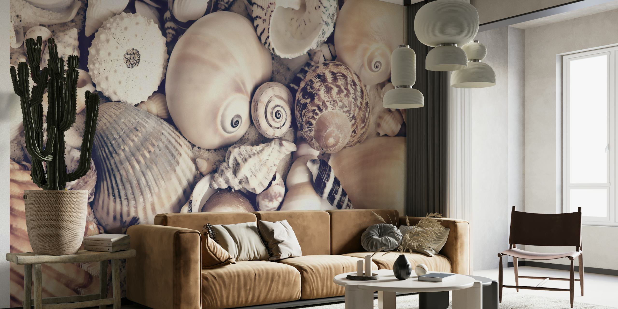 Seashell Collection behang