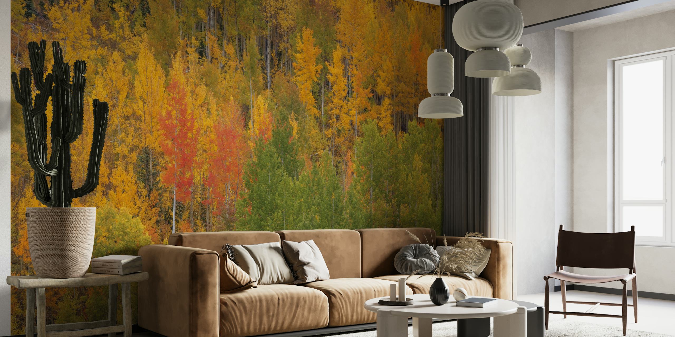 Ταπετσαρία Autumn Contrast που παρουσιάζει πολύχρωμα δέντρα