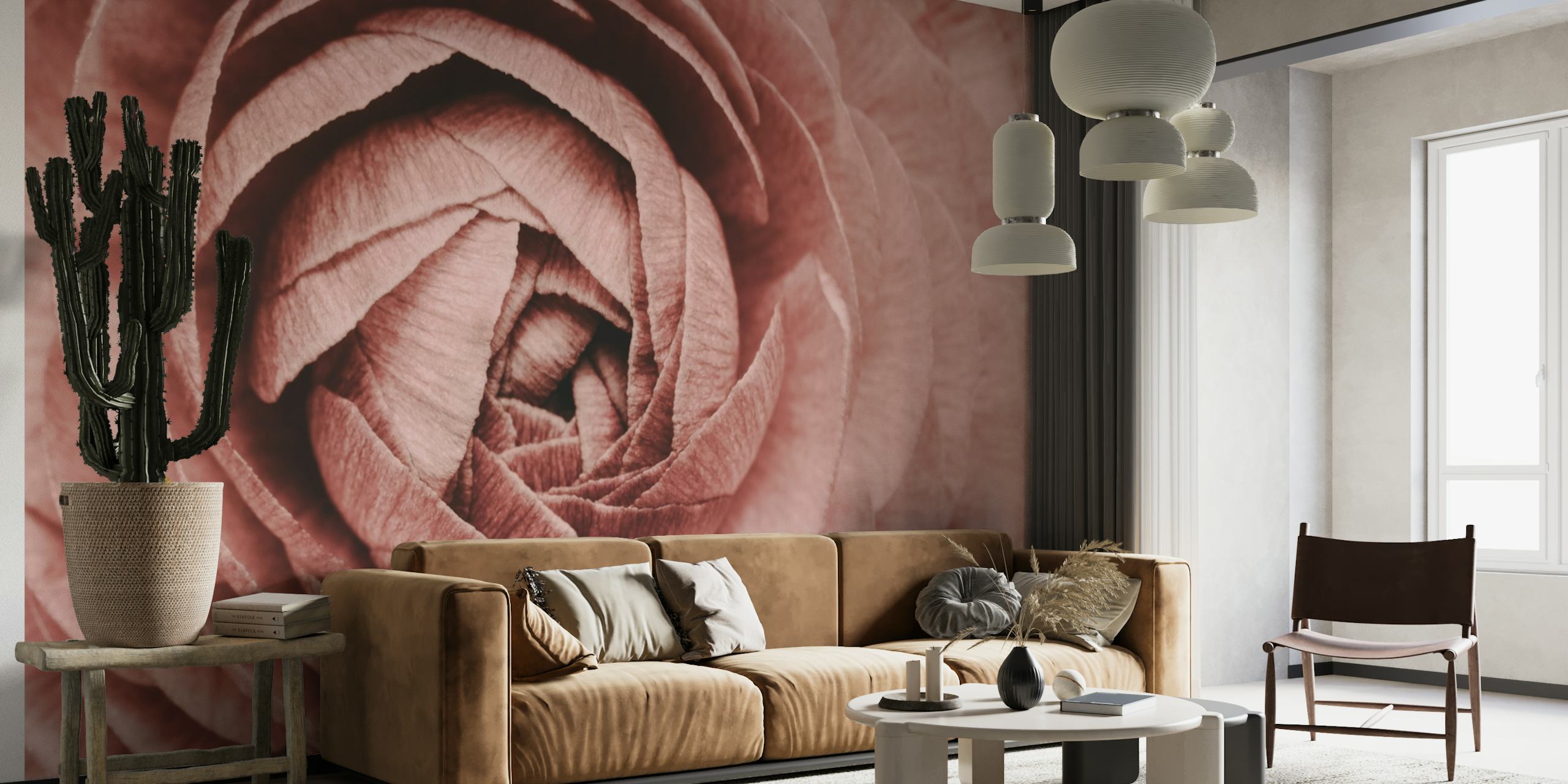 Flower Pink Ranunculus wallpaper