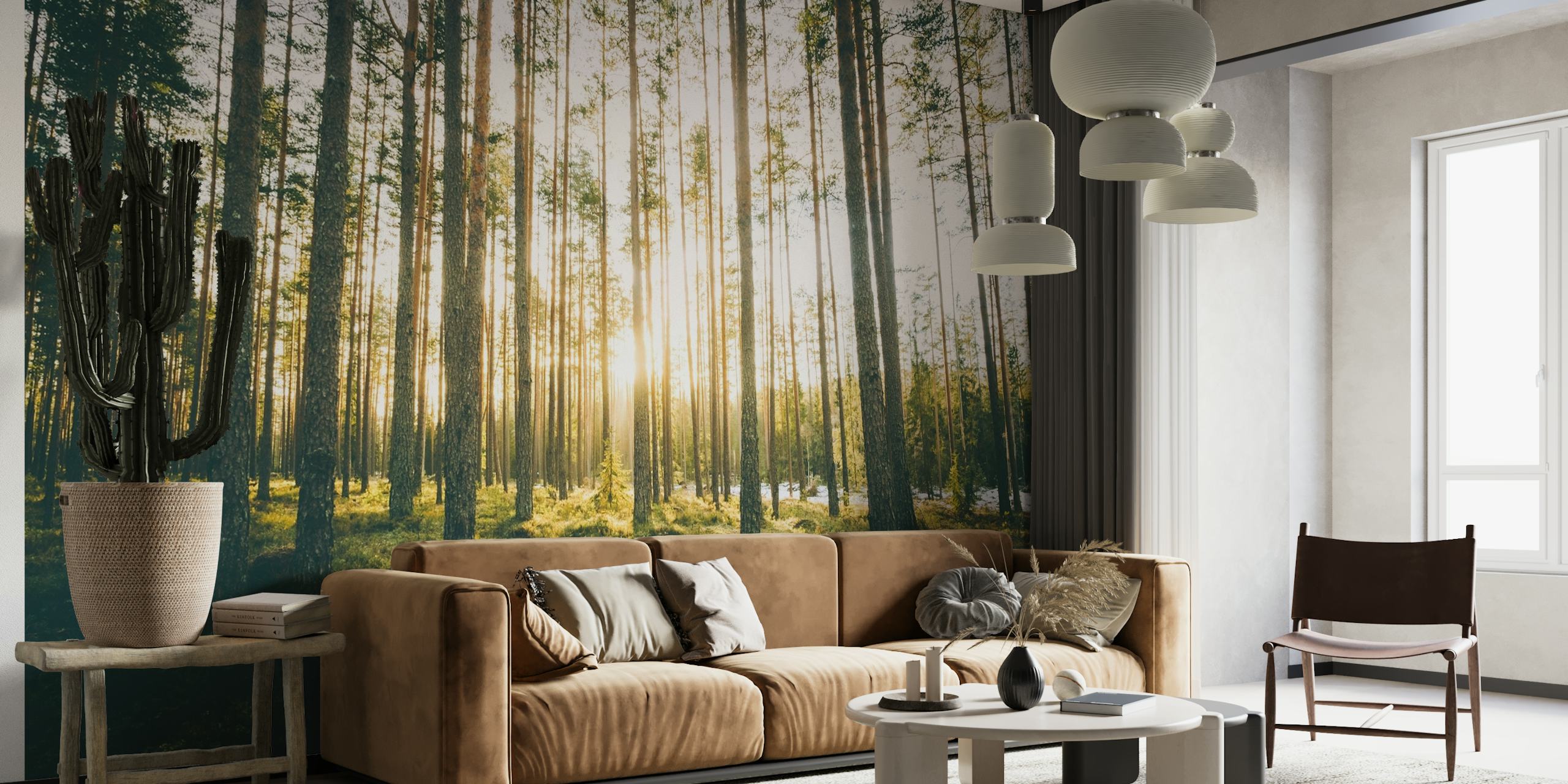 Forest Glow wallpaper