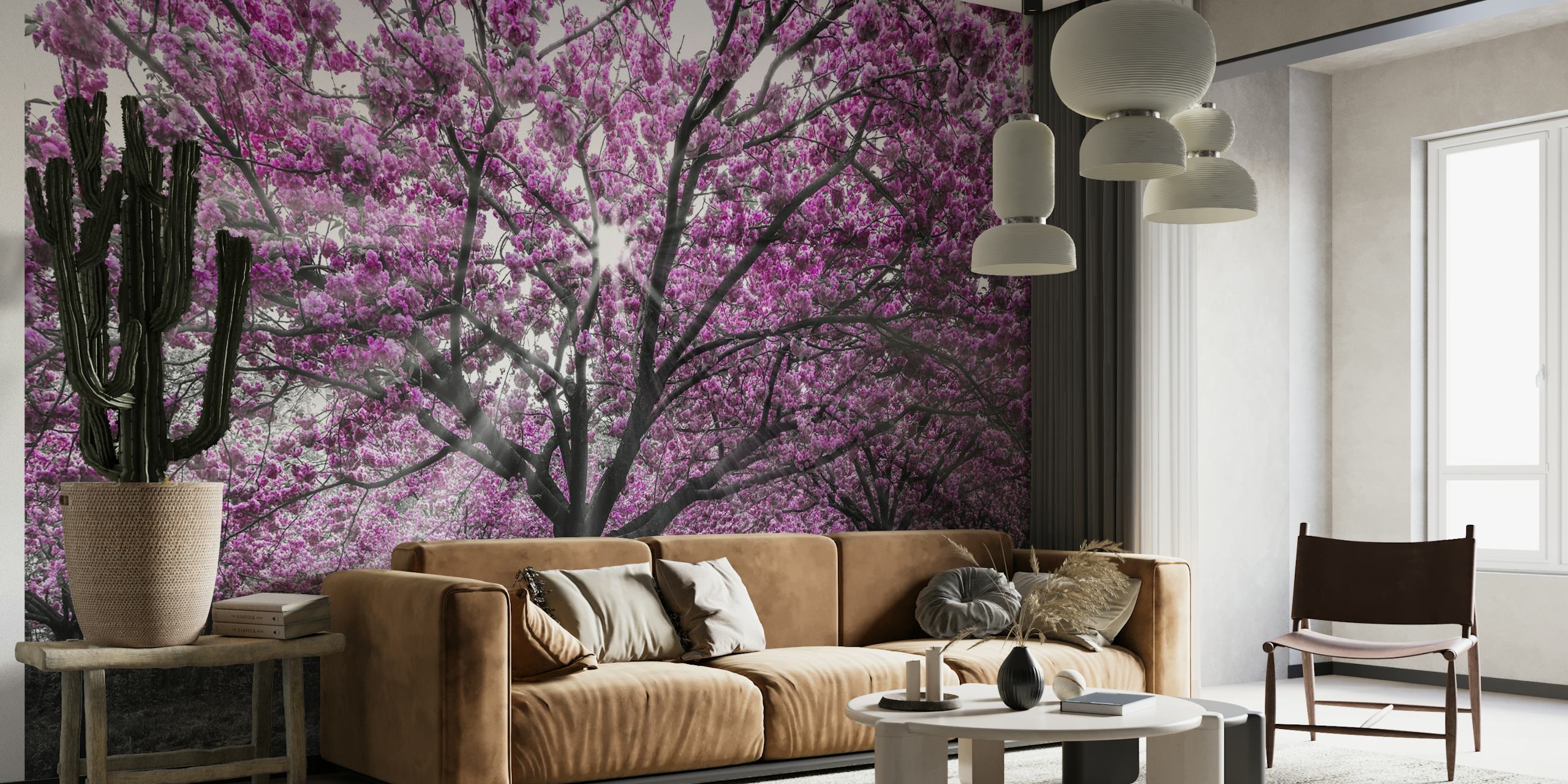 Cherry blossoms in sunlight papiers peint