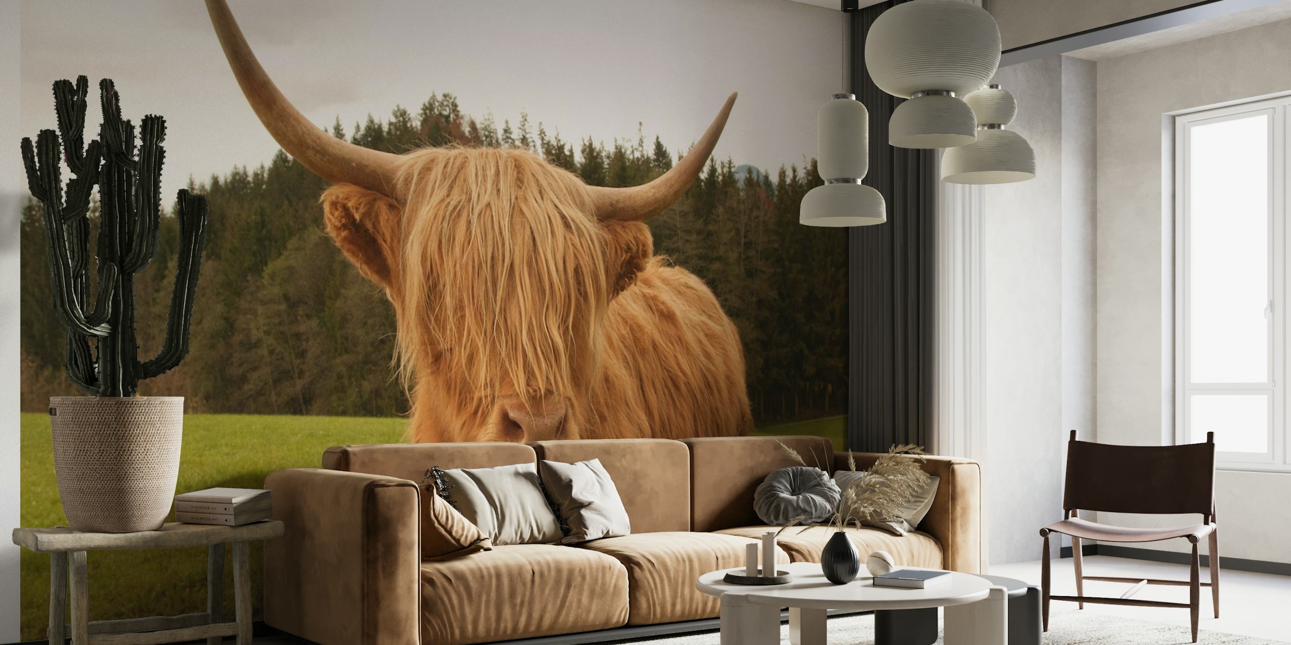 Highland Cow 7 behang