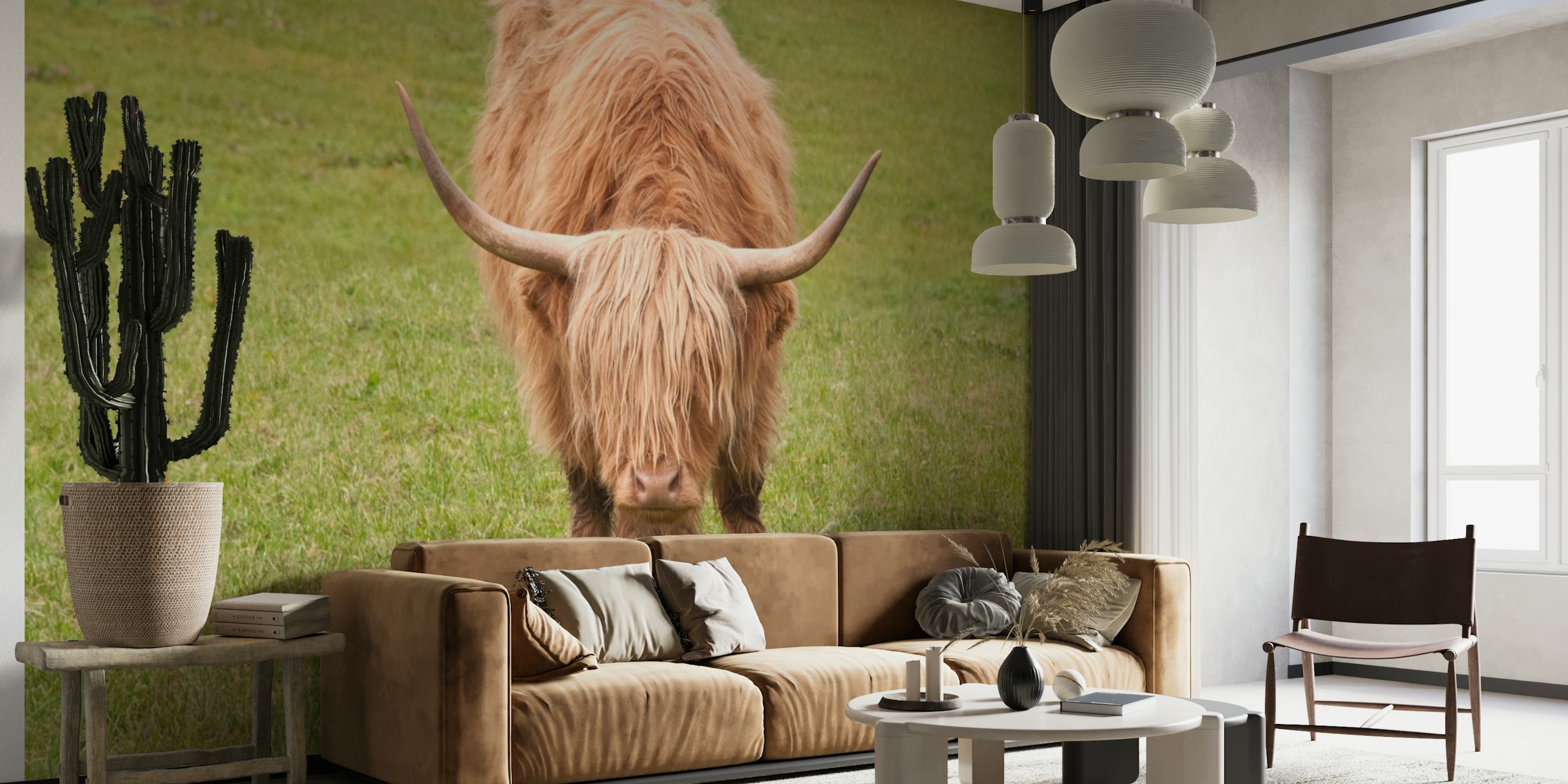 Highland cow wallpaper in a room setting