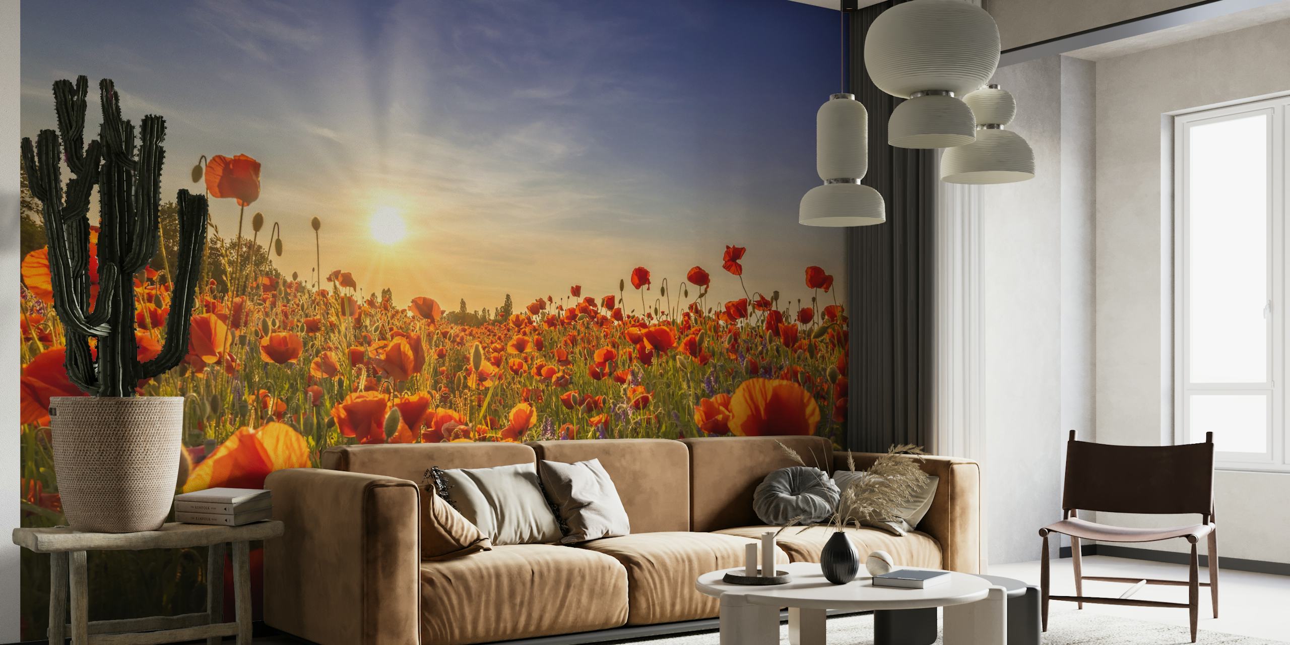 Poppies in the evening tapet i et rom