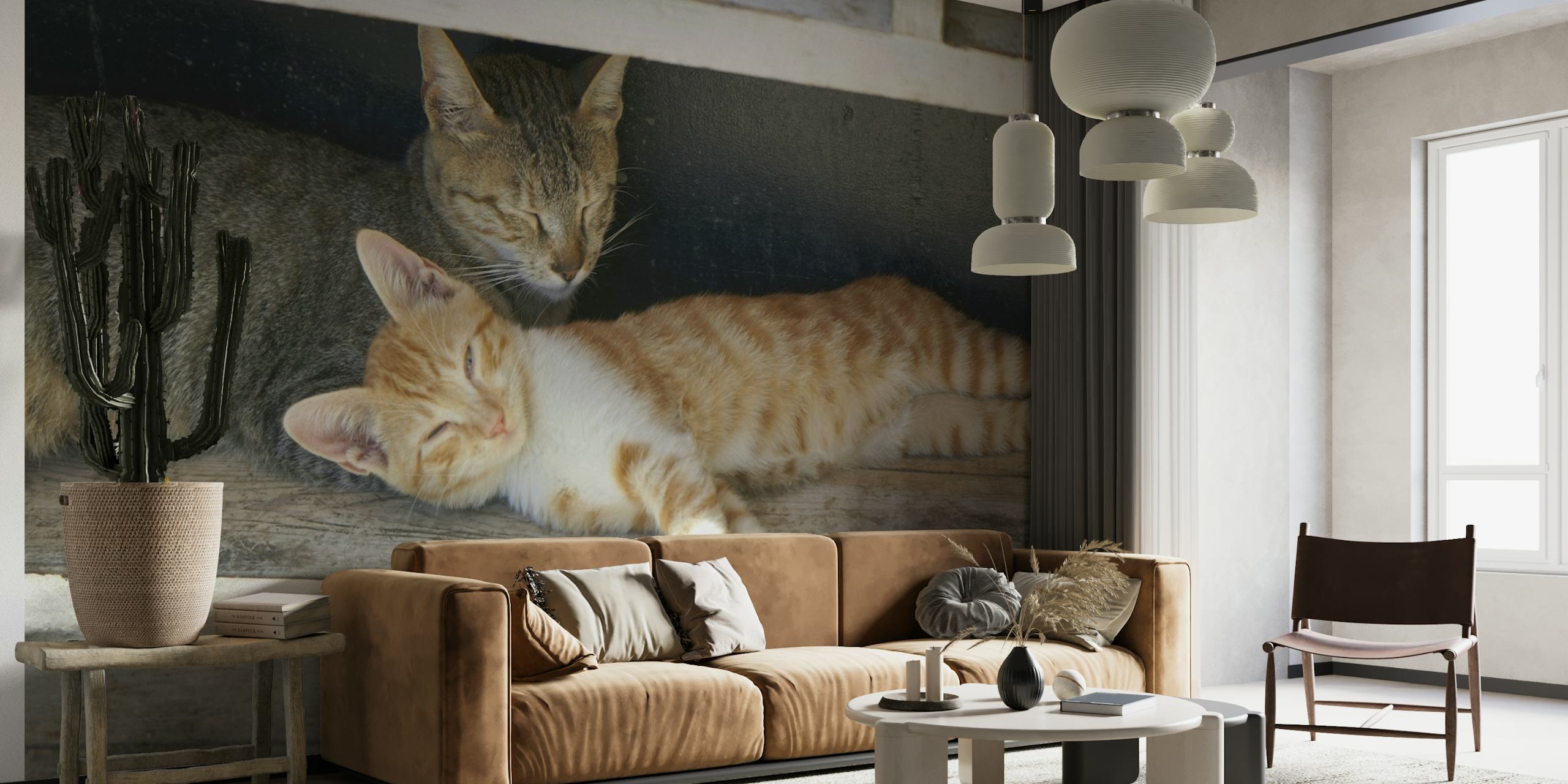 Dreaming Kitty Cats papel pintado