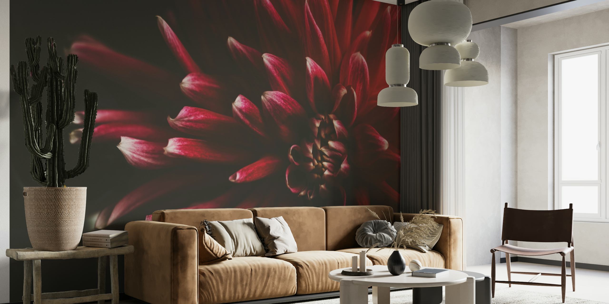 Close-up of red dahlia flower petals, floral wallpaper