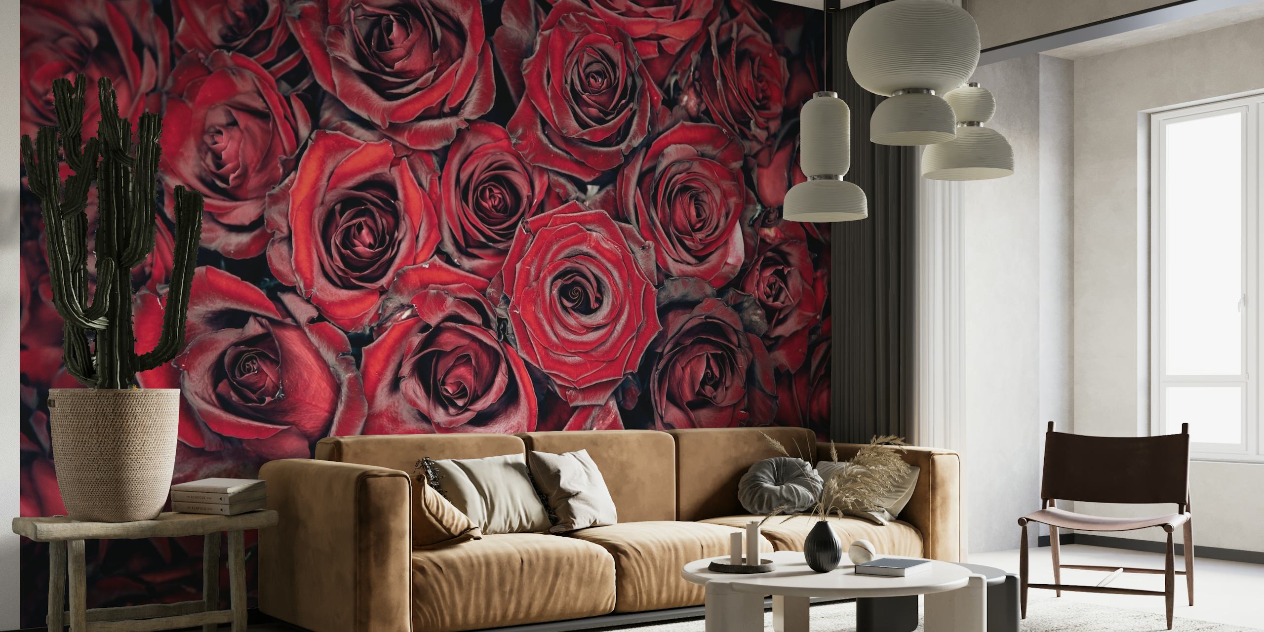 50 red rose behang